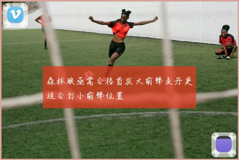 森林狼亟需合格首发大前锋麦丹更适合打小前锋位置