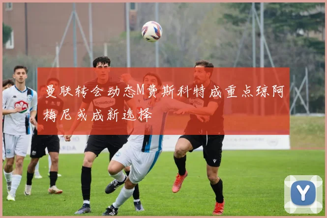 曼联转会动态M费斯科特成重点琼阿梅尼或成新选择